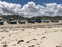 Beach Lineup